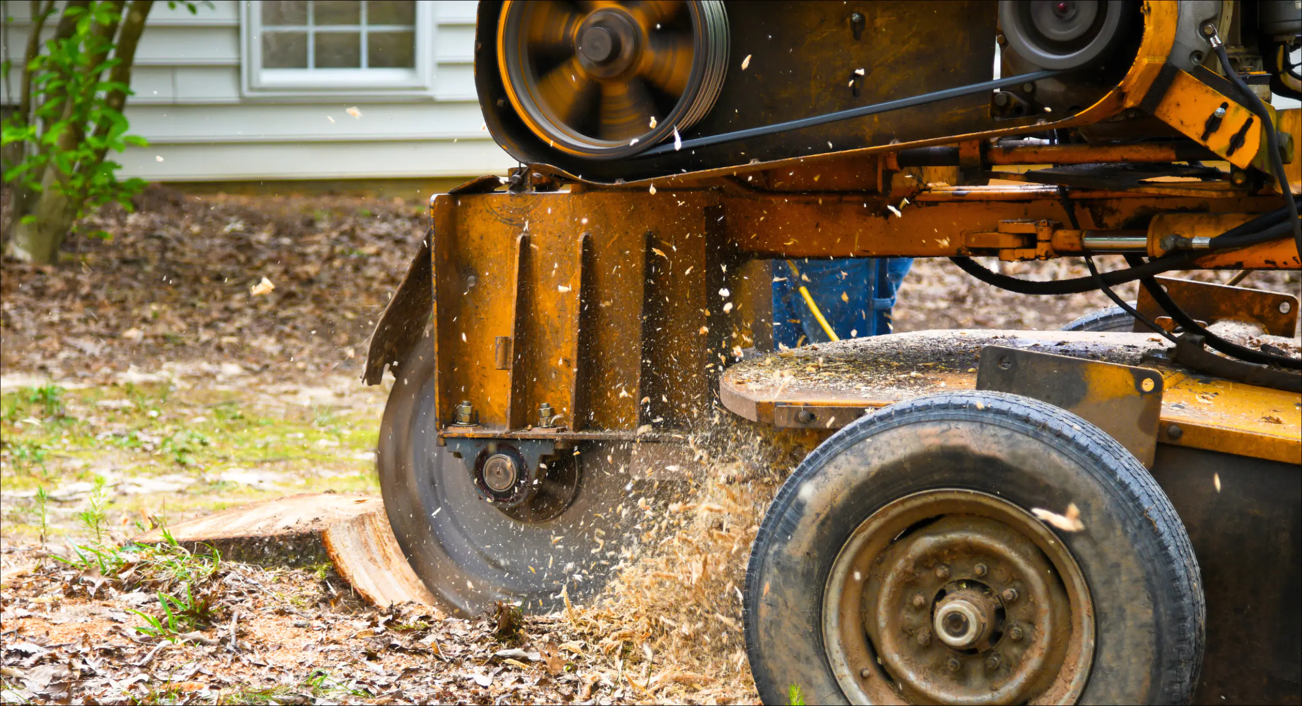 Stump Grinding Machine Being used