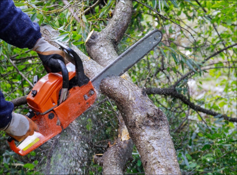 A man cutting a tree with an electric saw 1